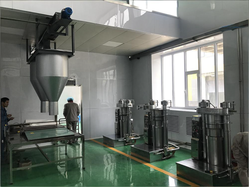 冷榨核桃油榨油设备 Featured Image